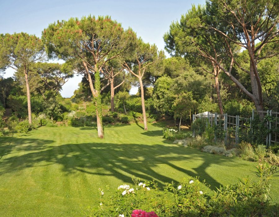 2012-06-29-08-45-23-1-low