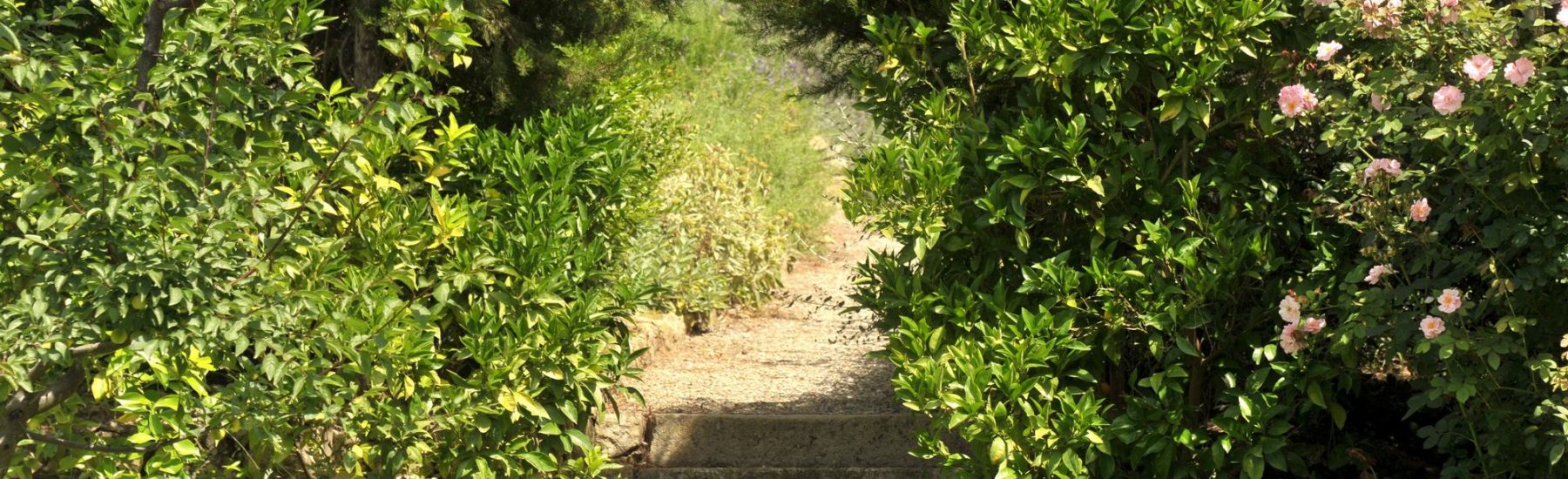 2012-06-29-11-27-35-low